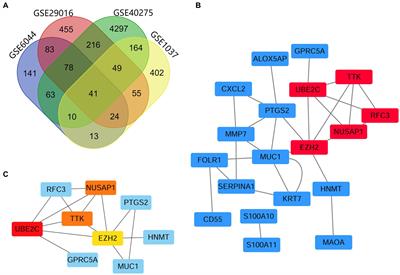 Bioinformatics-based screening of key genes for transformation of tyrosine kinase inhibitor-resistant lung adenocarcinoma to small cell lung cancer